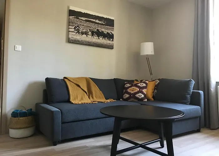 Appartamento Le Coin De Fréderic Colmar